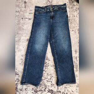 Torrid Wide Leg Blue Jeans